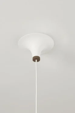 Acorn kattovalaisin, Mattavalkoinen