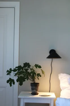 Cannes 20 seinävalaisin, Musta