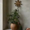 Christmas mix joulukoriste 6-pack, Indian tan