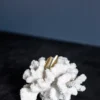Coral branches white, Small