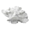 Coral fan, White