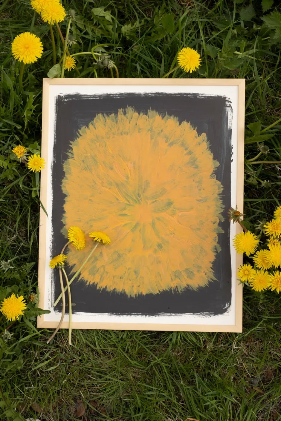 Dandelion juliste 40x50 cm, Kelta-musta