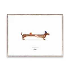 Doug the Dachshund -juliste, 30 x 40 cm