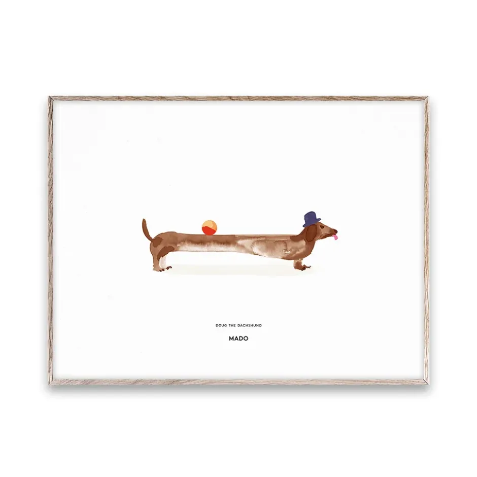 Doug the Dachshund -juliste, 30 x 40 cm