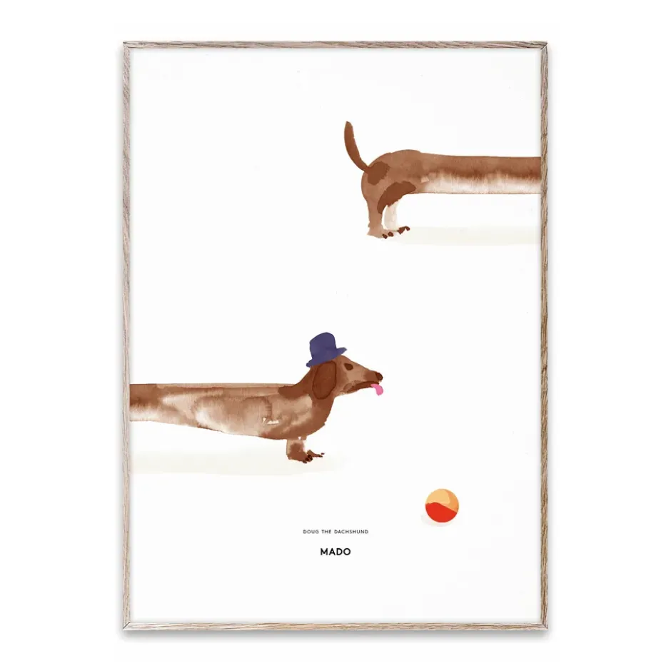 Doug the Dachshund -juliste, 50 x 70 cm