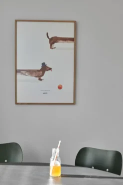 Doug the Dachshund -juliste, 50 x 70 cm