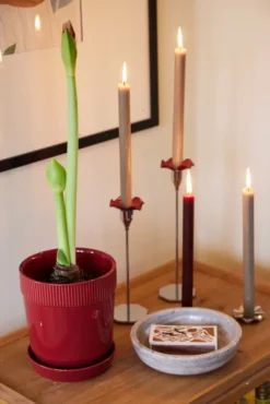 Elise ruukku S Ø14 cm, Viininpunainen