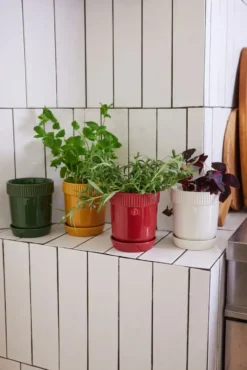 Elise yrttiruukku Ø11 cm, Viininpunainen