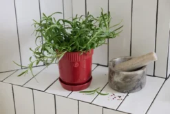 Elise yrttiruukku Ø11 cm, Viininpunainen