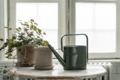 Ernst vesikannu, Salvia, 3 L
