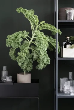 ferm LIVING istutuslaatikko Plant box, musta