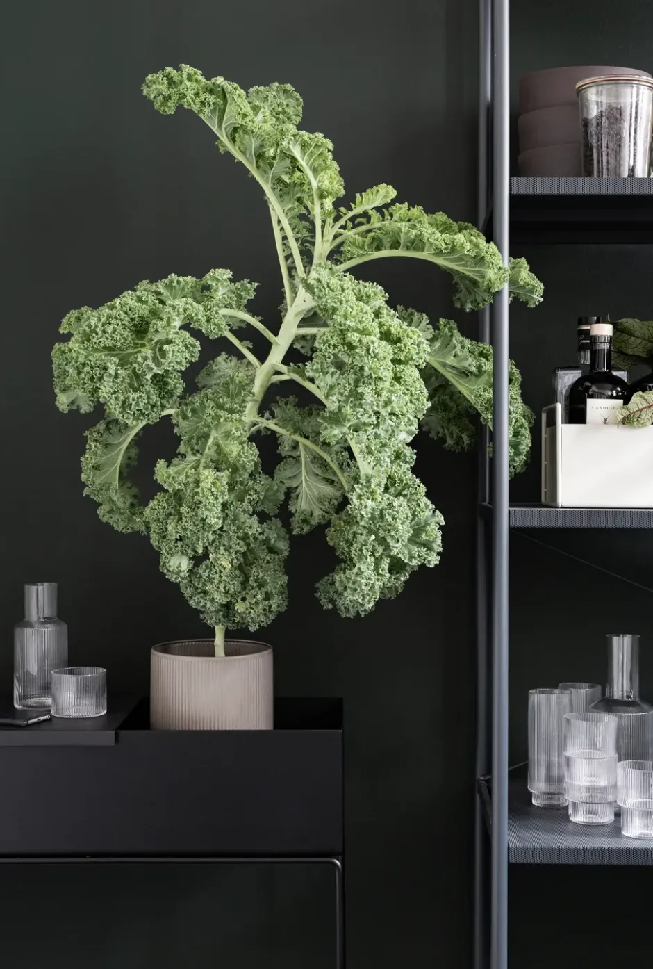 ferm LIVING istutuslaatikko Plant box, musta