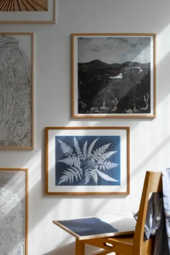 Fern star -juliste, 40 x 50 cm