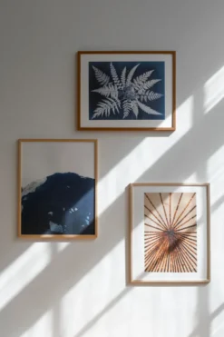 Fern star -juliste, 40 x 50 cm