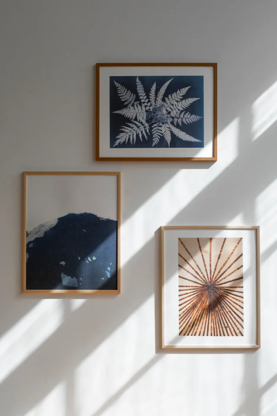 Fern star -juliste, 40 x 50 cm