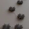 Garland hiutale koristeköynnös, Mole