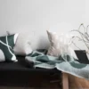Gran tyynynpäällinen, sand