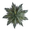 Helena adventtitähti Ø44 cm, Green