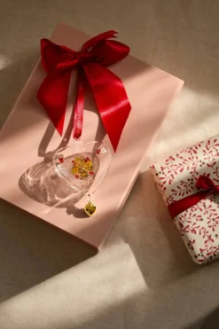 Holmegaard Christmas vuoden joulusydän, 2026