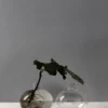 Holmen maljakko Ø10 cm, Läpinäkyvä