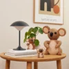 Joey koala koriste, Tammi-saarni