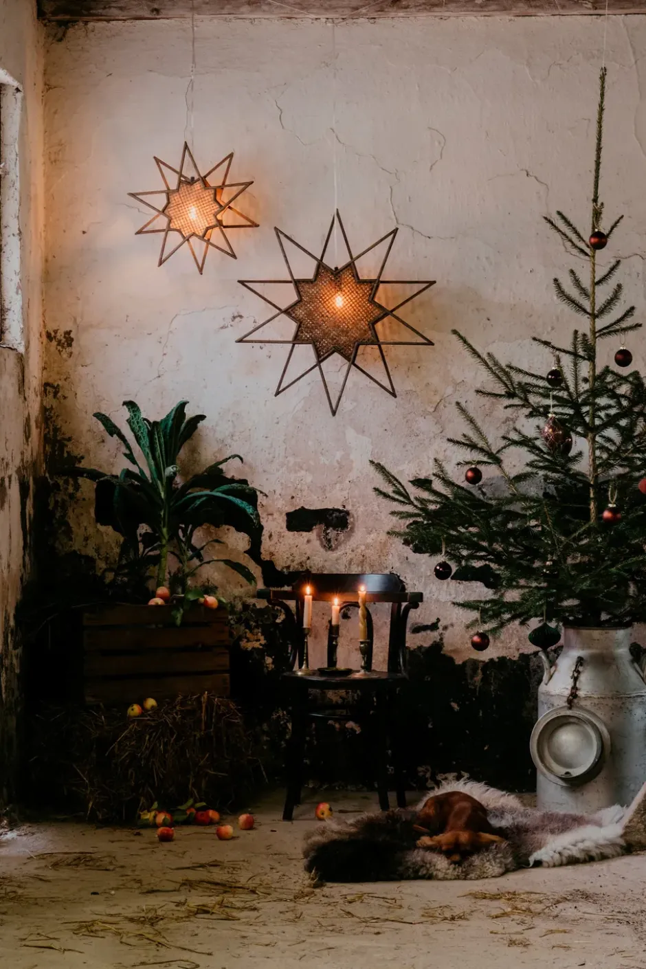 Karin adventtitähti Ø70 cm, Ruskea