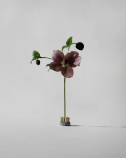 Kenzan maljakko, Ø2,3 cm