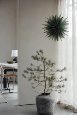 Liz adventtitähti Ø50 cm, Green
