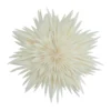 Maja adventtitähti Ø50 cm, White