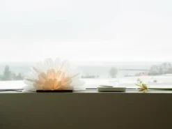 Mezza Snöblomma pöytälamppu, Valkoinen-kahvi
