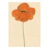 Orange Unikko -juliste, 50 x 70 cm