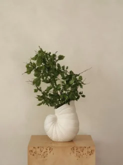 Shell maljakko, Off white