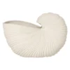 Shell ruukku, Off white