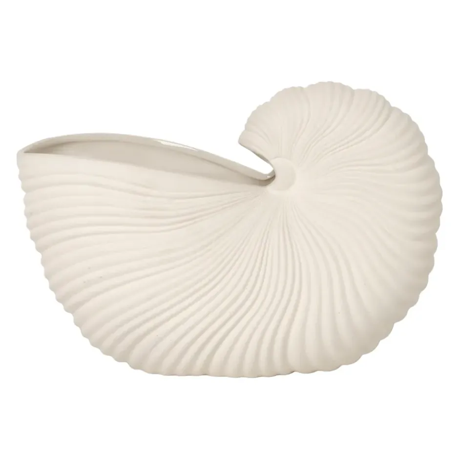 Shell ruukku, Off white