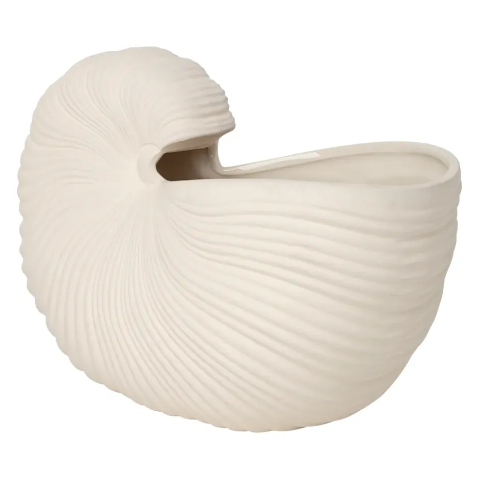 Shell ruukku, Off white