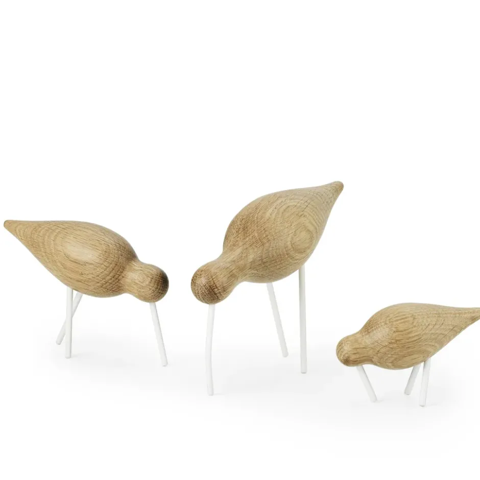Shorebird tammi-valkoinen, pieni