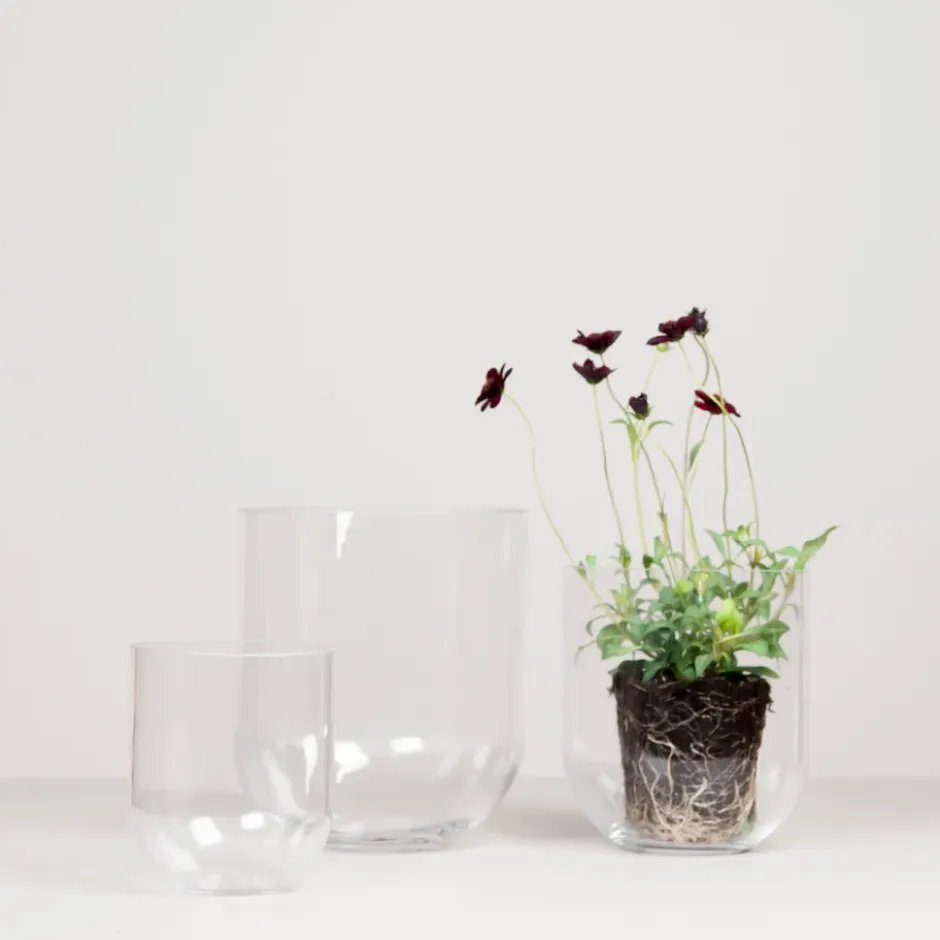 Simple lasimaljakko large, Clear
