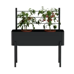 Simply Grow ristikko viljelylaatikkoon, Musta