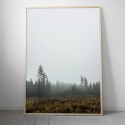 Skog-juliste, 70 x 100 cm