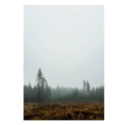 Skog-juliste, 70 x 100 cm