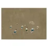 Soccer juliste 50x70 cm, Ruskea