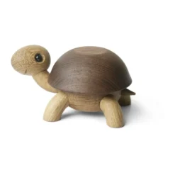 Speedy kilpikonna koriste 4 cm, Tammilaatikko