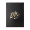 Still Life 04 Hydrangea juliste, 30x40 cm