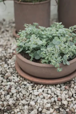 Terra bowl ruukku, Ruskea, Ø30×10,5 cm