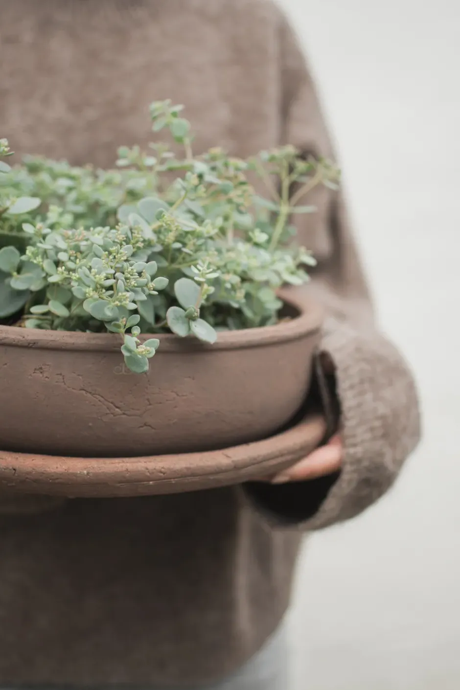 Terra bowl ruukku, Ruskea, Ø30×10,5 cm