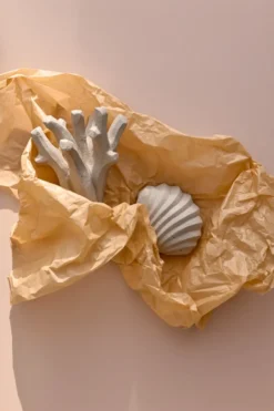 The Clam Shell -veistos 13 cm, Limestone