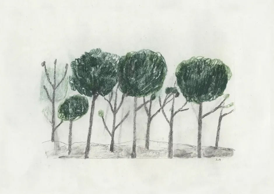 Trees juliste 50x70 cm, Musta- off white