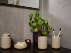Ume Purkki Kannella, Kamelinruskea