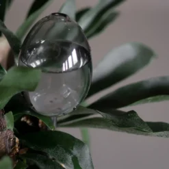 Waterbubble kasteluautomaatti, Clear